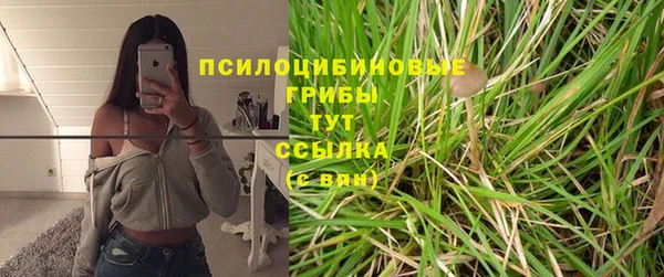 дмт Алексин