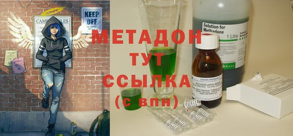 прущие грибы Алзамай