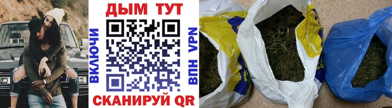 Шишки марихуана семена  Белореченск 